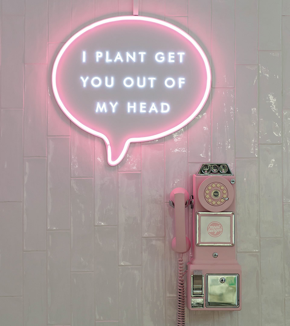 Web Design and Development